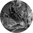 H W profile picture