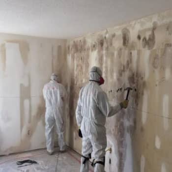 Mold-Treatment