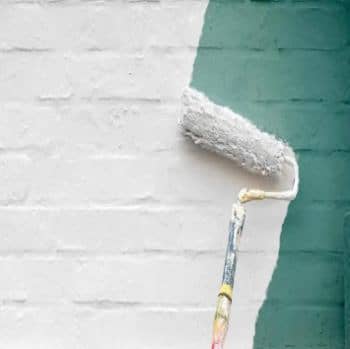 anti-mold-paint
