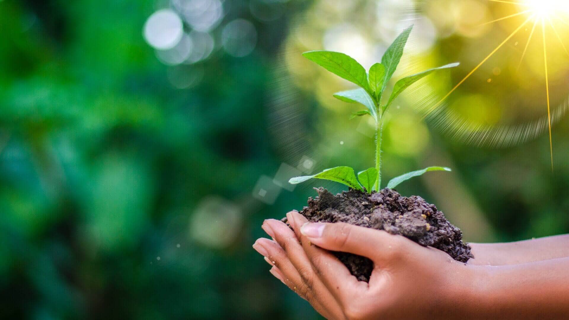 Unique Tips to Prevent & Stop Mold From Spreading